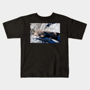 Phoque faisant la sieste sur un rocher Kids T-Shirt